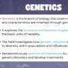 Intro to Genetics - Image 4